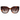 Joyelle Sunglasses with bold oversized square frame in tortoiseshell acetate and brown gradient lenses for a classic statement look.