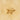Idle Hair Clip — gold star-shaped hair accessory with pearl details on neutral beige background.