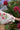 Close up of white mini dress with pink floral print long sleeve