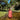 Alba Cover Up lightweight coral maxi cover up dress worn in shallow river natural outdoor setting full length front view