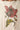 Alina Tee close-up of vintage-inspired floral graphic showing bold red bloom, green stems and leaves, and butterfly detail on cream fabric, highlighting the artistic print texture.