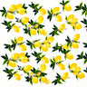 Janis Scarf square scarf with all-over yellow lemon print and green leaves on white background in a fresh, summery pattern.