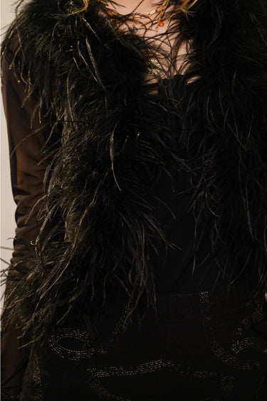 Yanz Mesh Top black mesh top close-up showing feather sleeve detail.