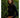Amit Top black turtleneck fitted crop top side view showing long sleeves and sculpted fit