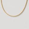 Jarvis Necklace gold rope chain necklace close-up product image on neutral background.