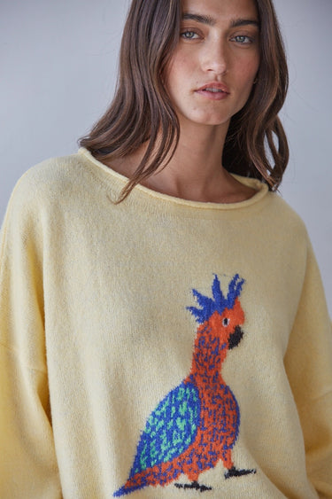 Close-up of the Syrat Sweater highlighting the colorful embroidered bird design, ultra-soft knit texture, and relaxed crew neckline.